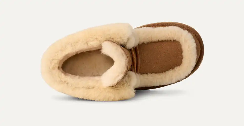 New hight lace CHESTNUT