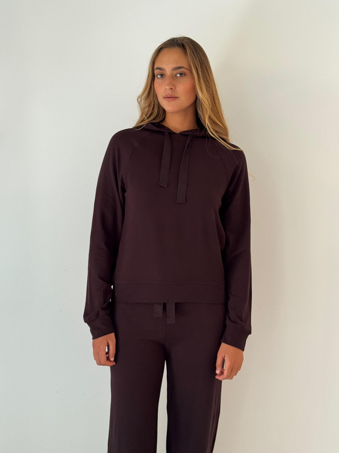 hoodie sweatshirt EGGPLANT MIX