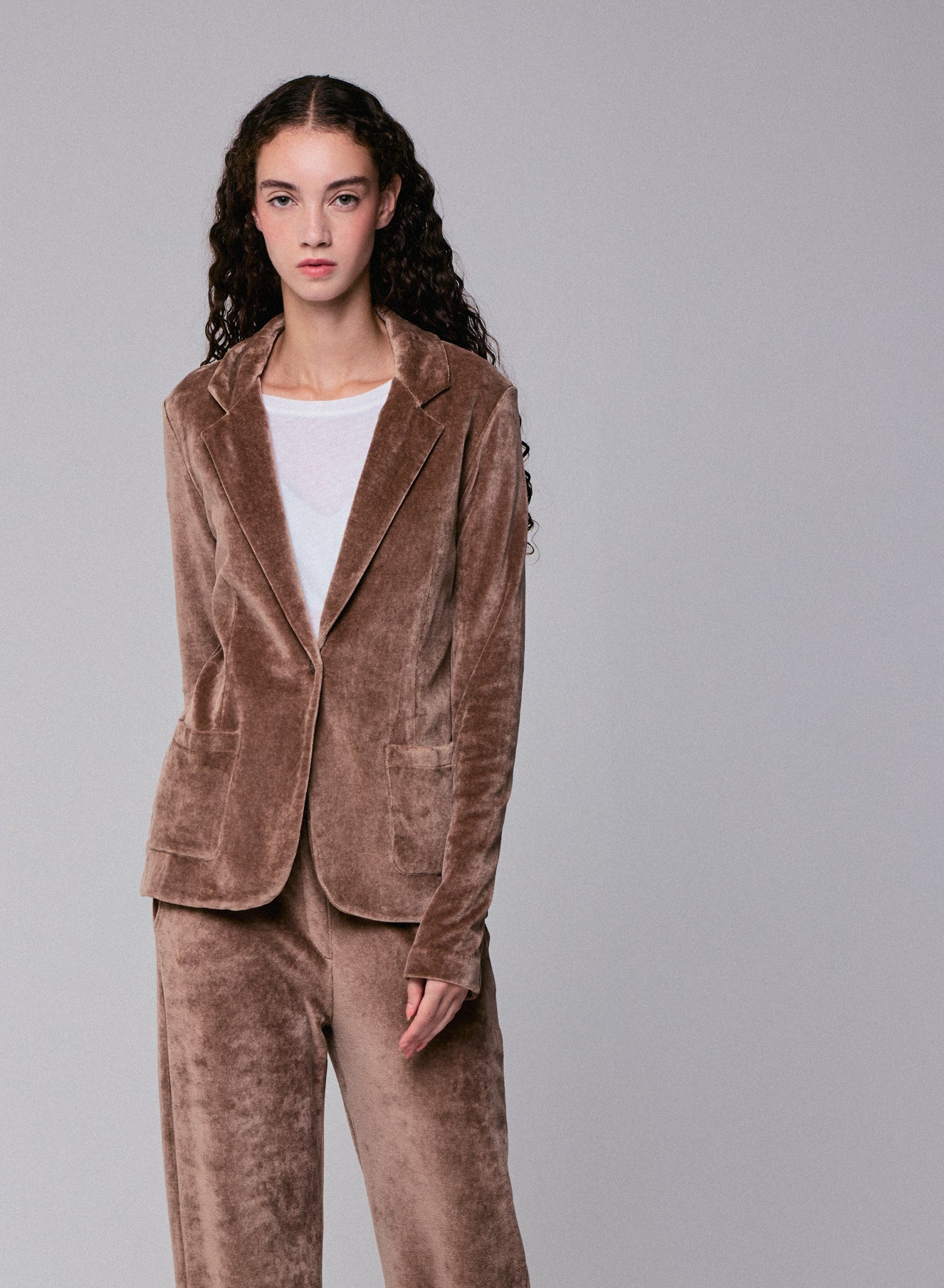 Blazer 1 button BISON