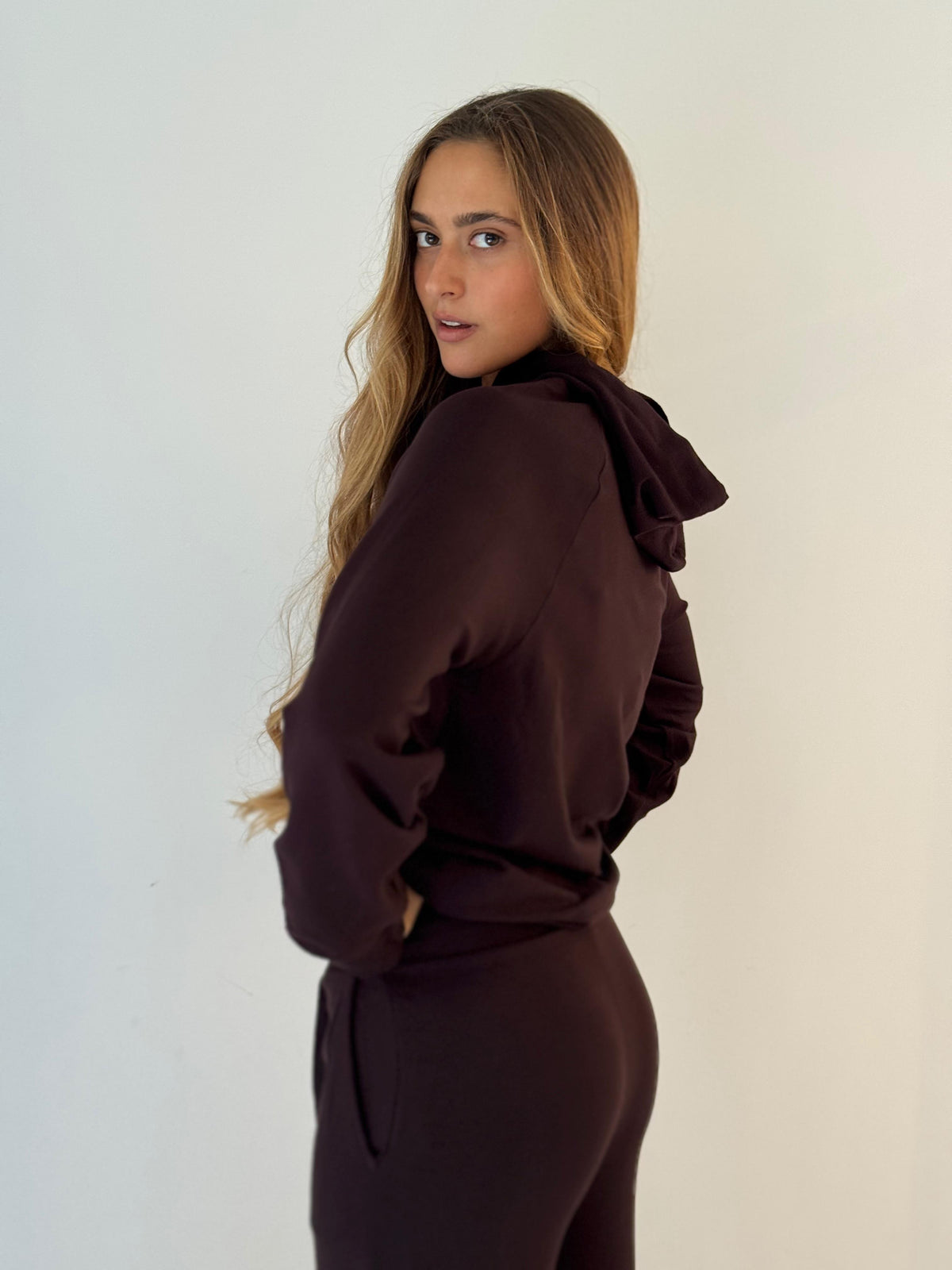 hoodie sweatshirt EGGPLANT MIX