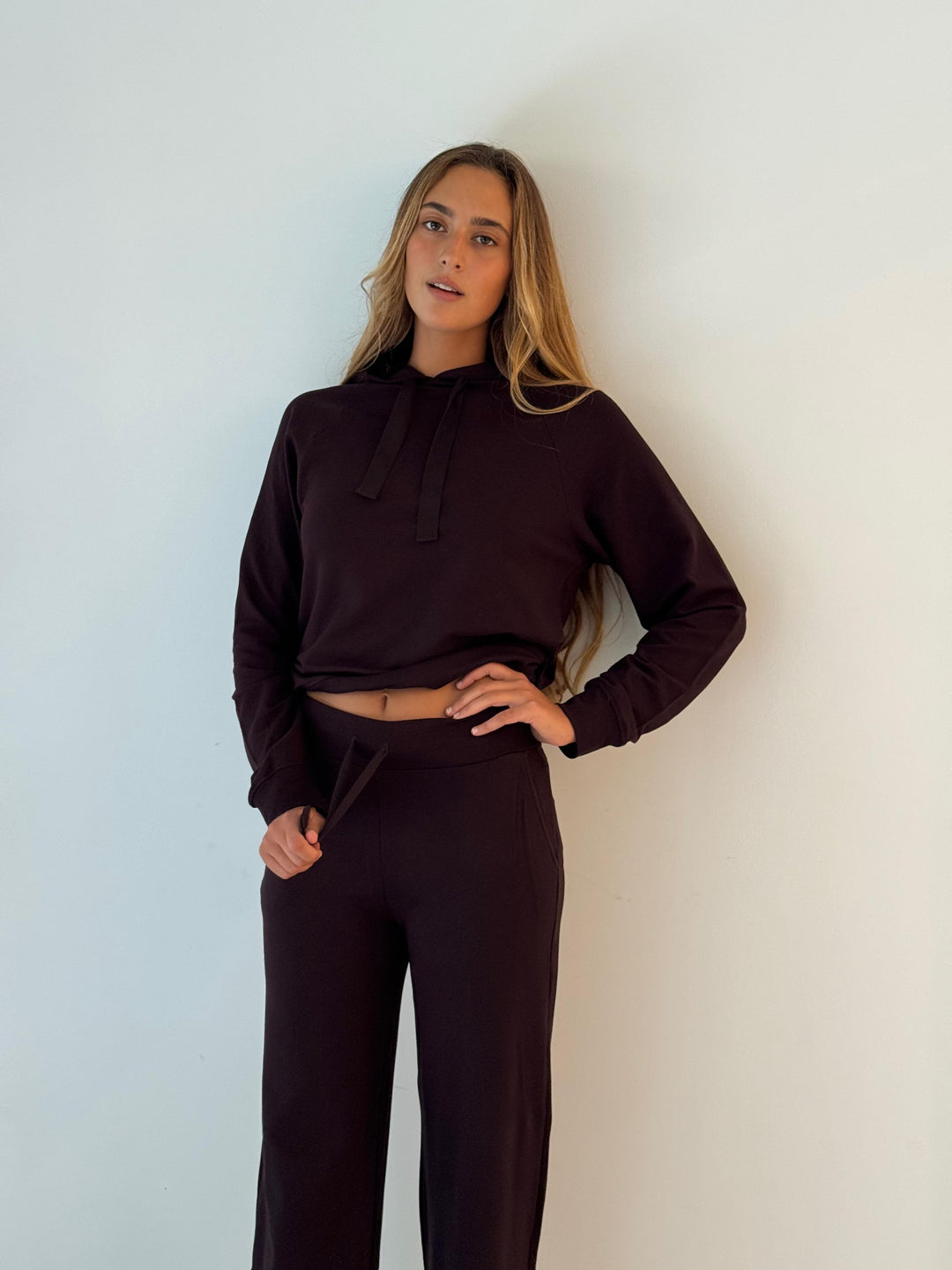 hoodie sweatshirt EGGPLANT MIX