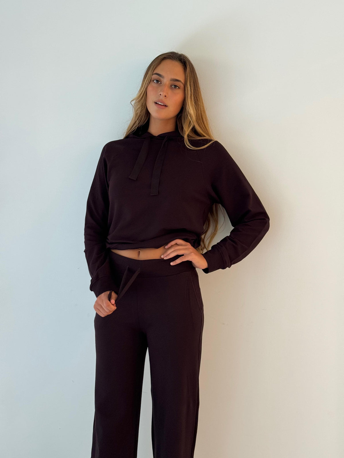 hoodie sweatshirt EGGPLANT MIX